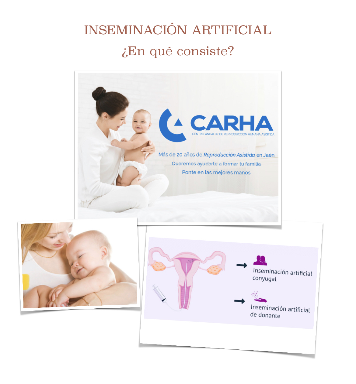 Qué es la inseminación artificial? | Carha